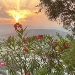 Endless Sunset *
